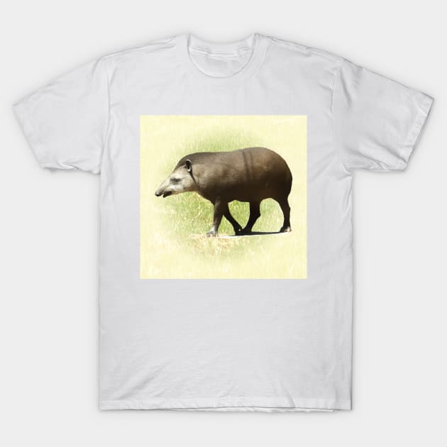 Tapir T-Shirt by Guardi